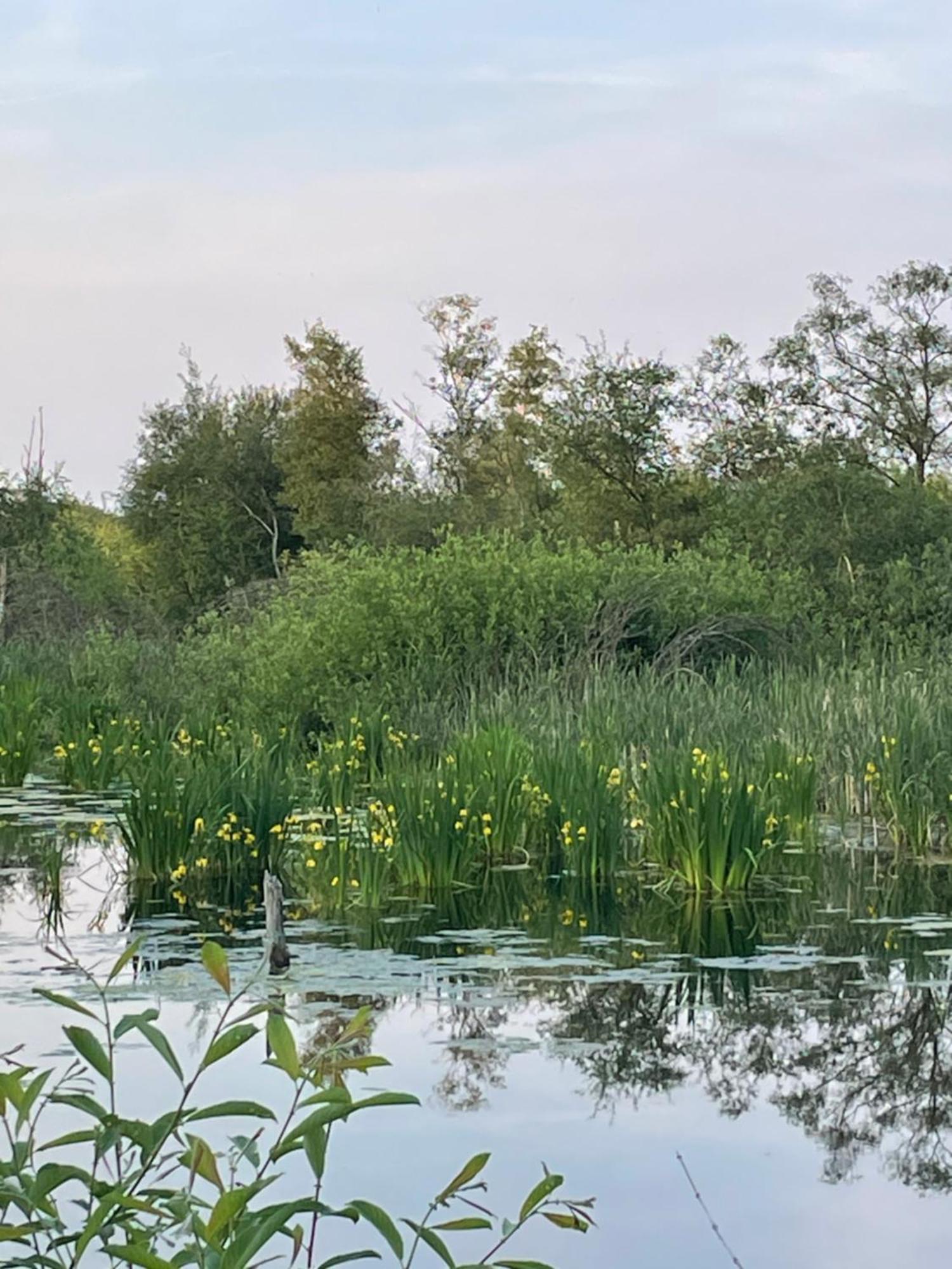 Vakantiewoning Hegga Hegelsom Екстер'єр фото
